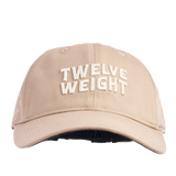 Big Swell 6 Panel Hat